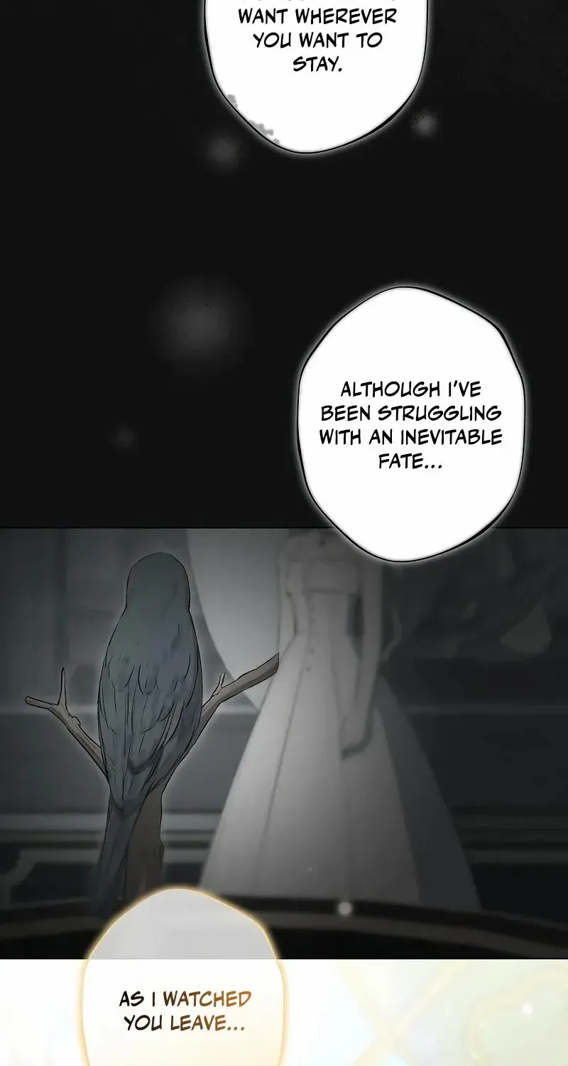 The mermaid trapped in my lake Chapter 11 page 16 - 