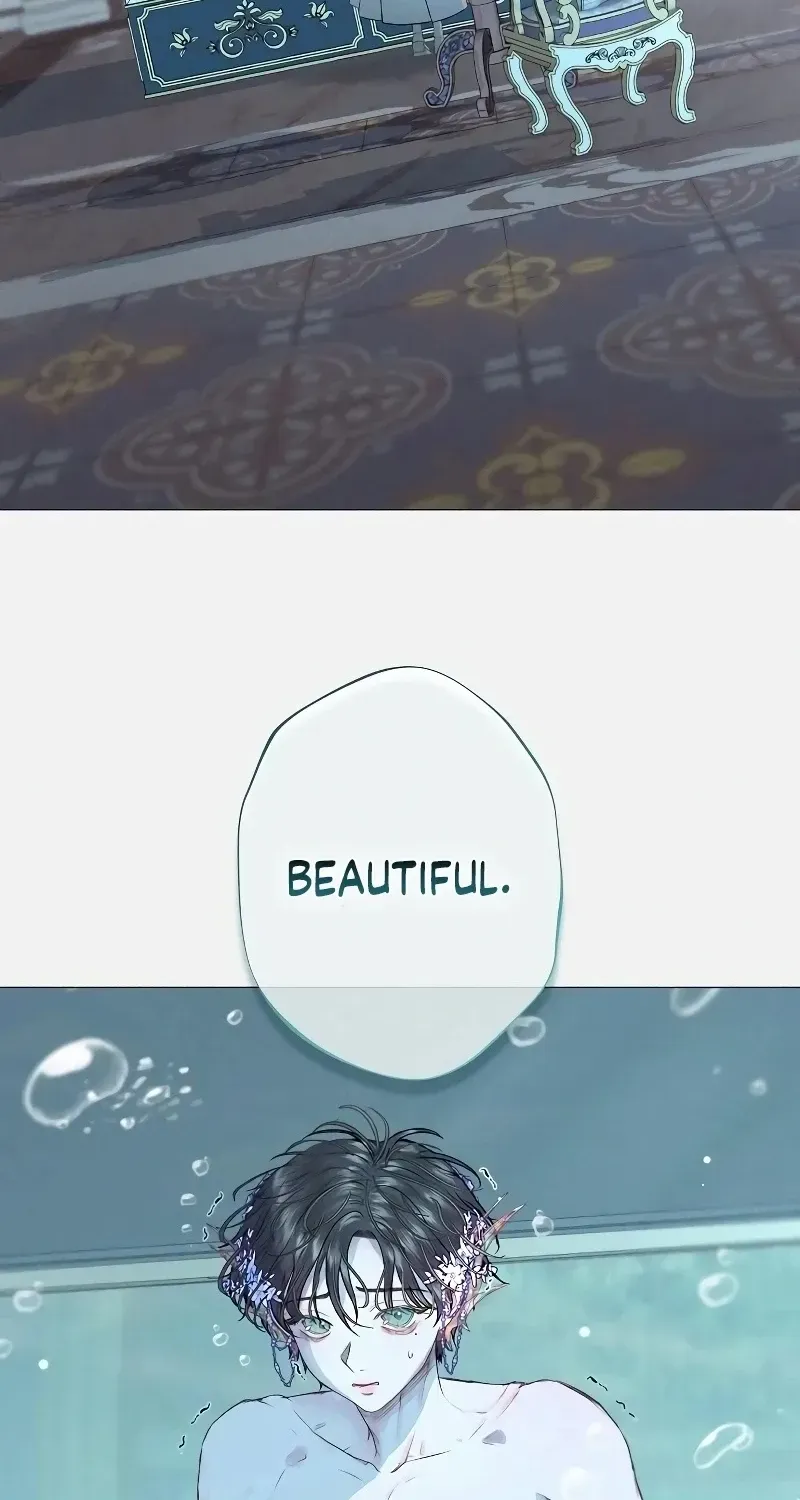 The mermaid trapped in my lake Chapter 2 page 22 - 