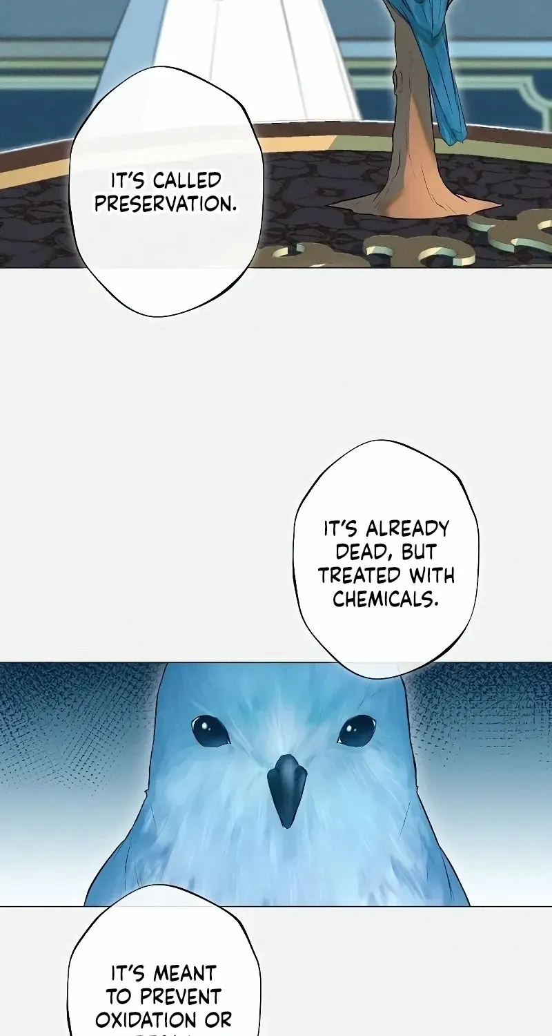 The mermaid trapped in my lake Chapter 2 page 29 - 