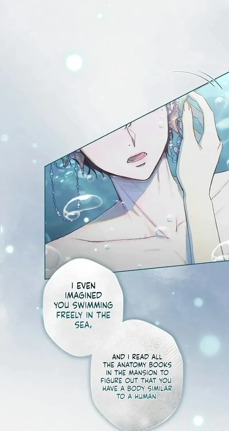 The mermaid trapped in my lake Chapter 2 page 45 - 