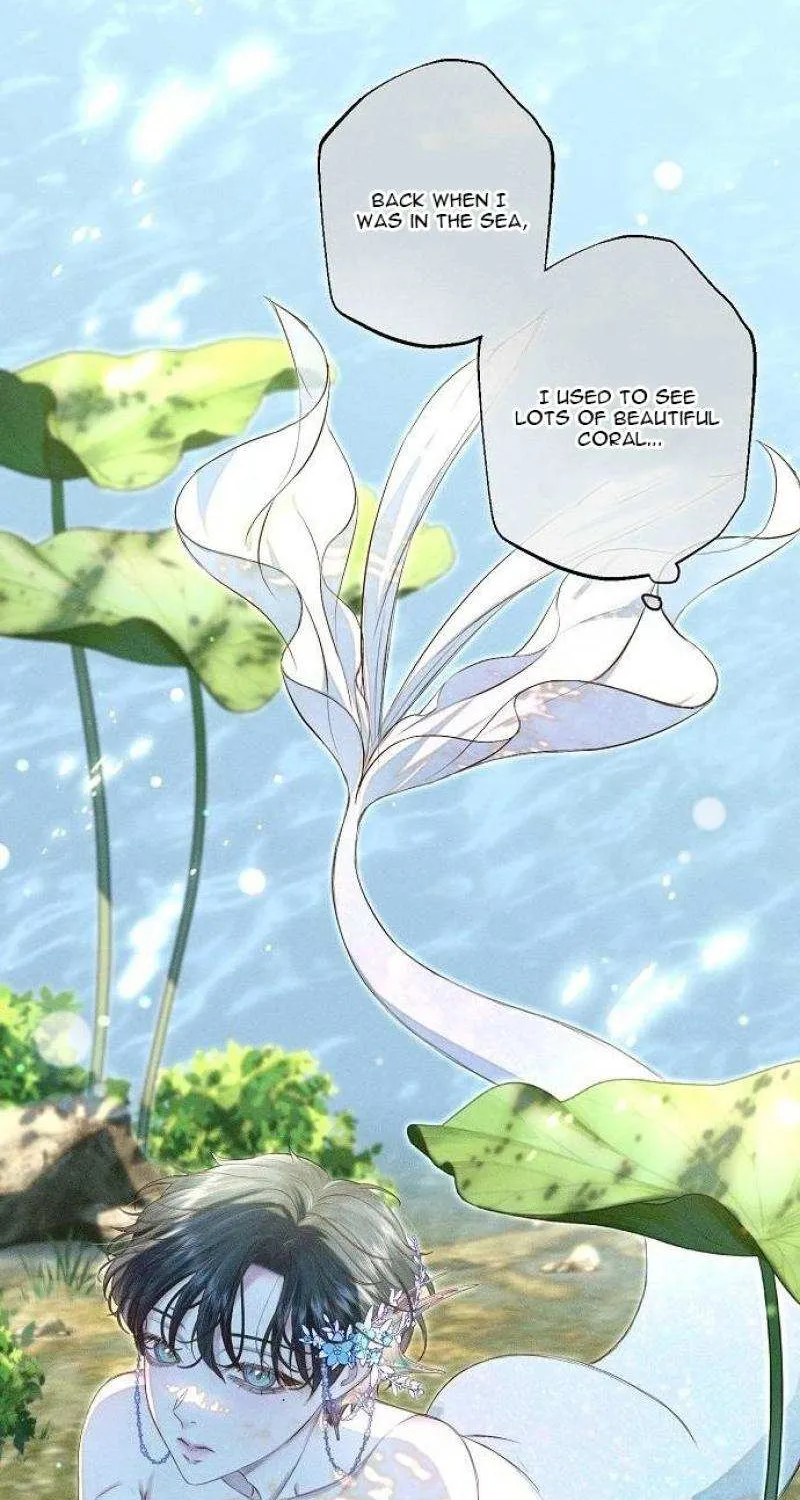 The mermaid trapped in my lake Chapter 27 page 37 - 