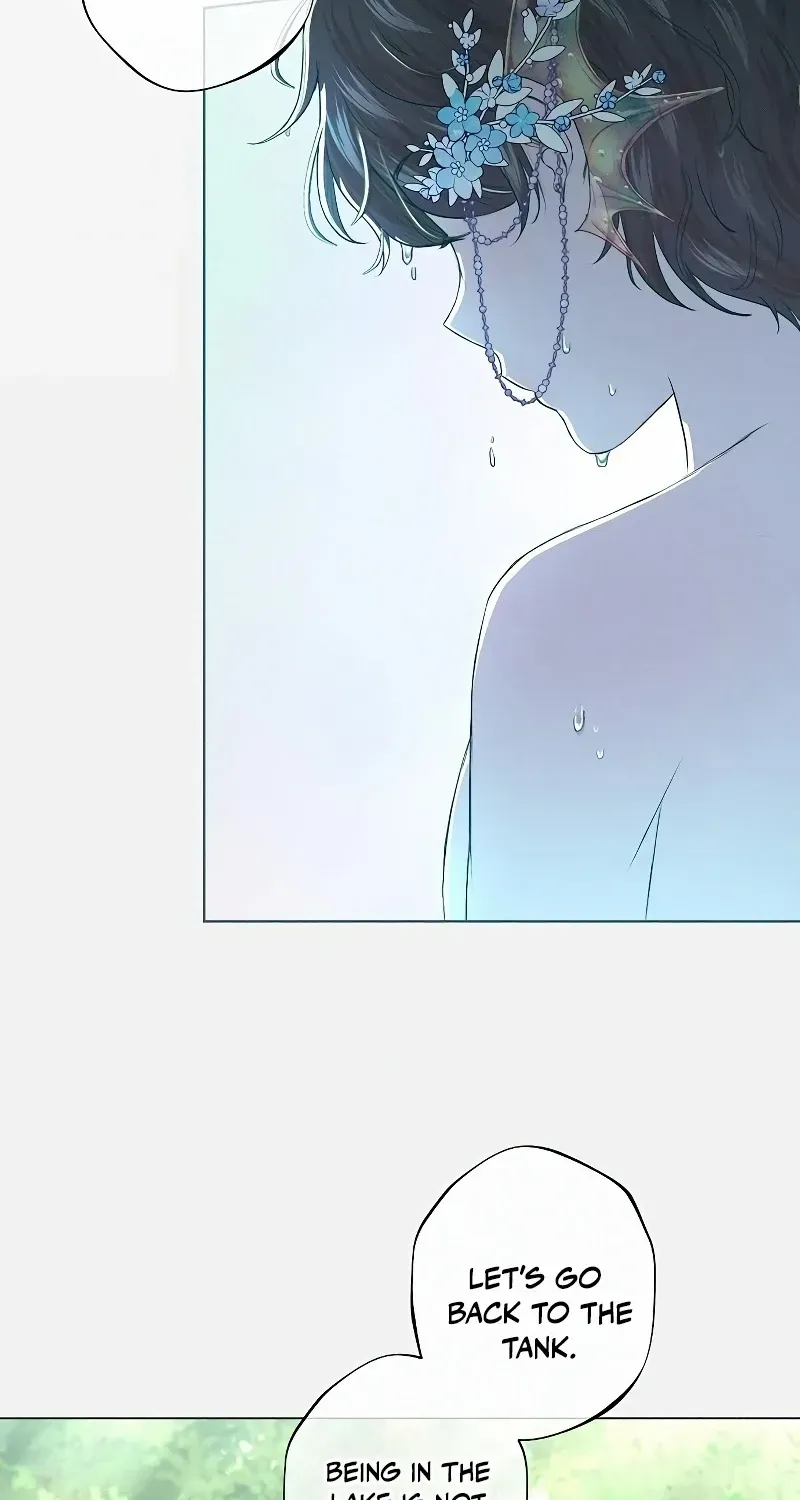 The mermaid trapped in my lake Chapter 3 page 56 - 