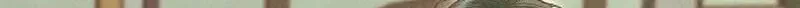 The mermaid trapped in my lake Chapter 36 page 8 - 