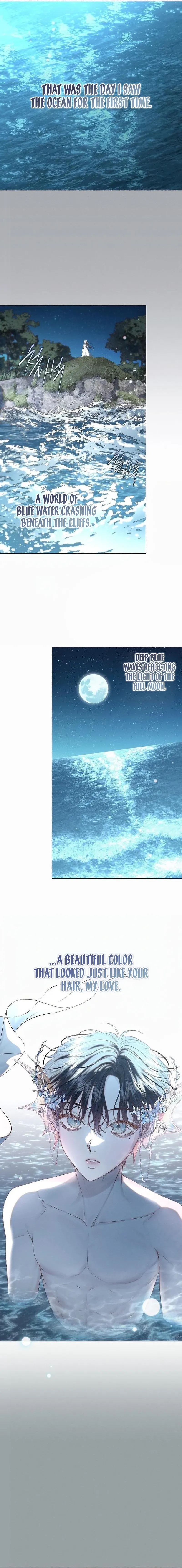 The mermaid trapped in my lake Chapter 39 page 12 - 