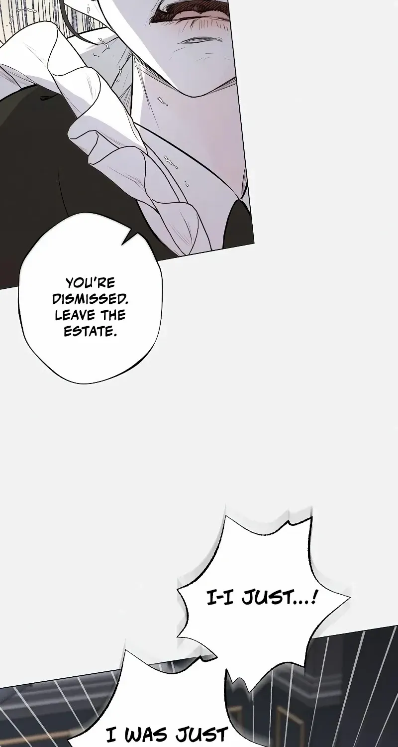 The mermaid trapped in my lake Chapter 4 page 19 - 