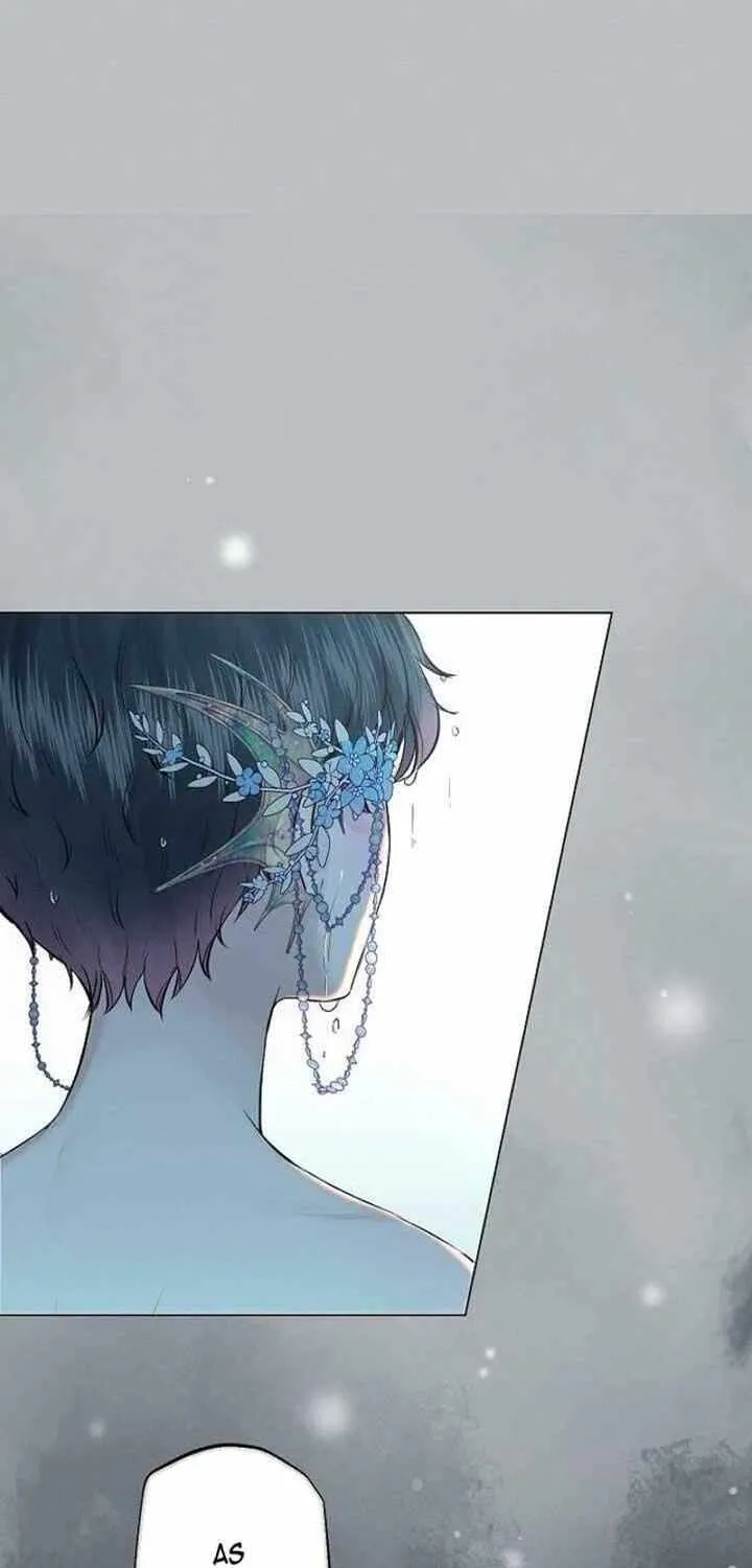 The mermaid trapped in my lake Chapter 5 page 13 - 