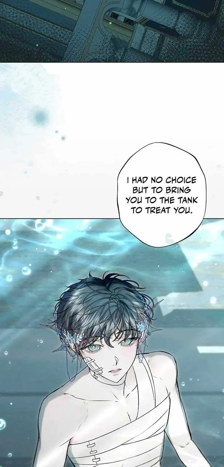 The mermaid trapped in my lake Chapter 7 page 4 - 