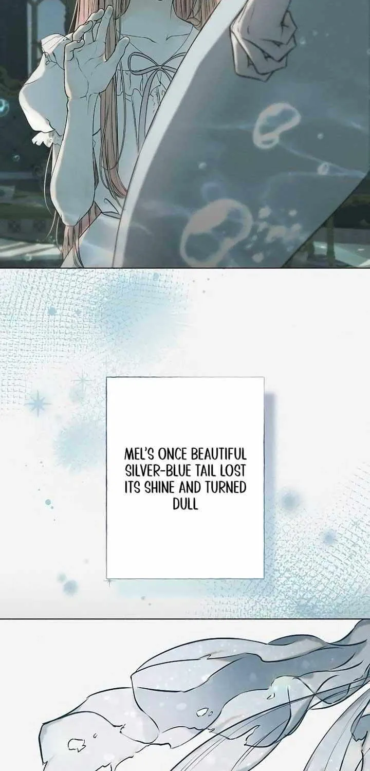 The mermaid trapped in my lake Chapter 7 page 6 - 