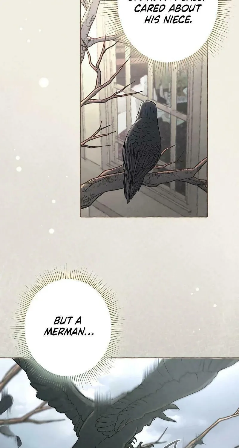 The Merman Trapped in My Lake Chapter 1 page 24 - 