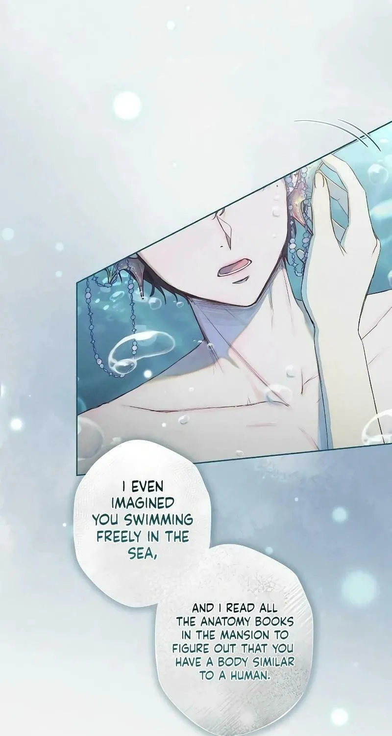 The Merman Trapped in My Lake Chapter 2 page 45 - 