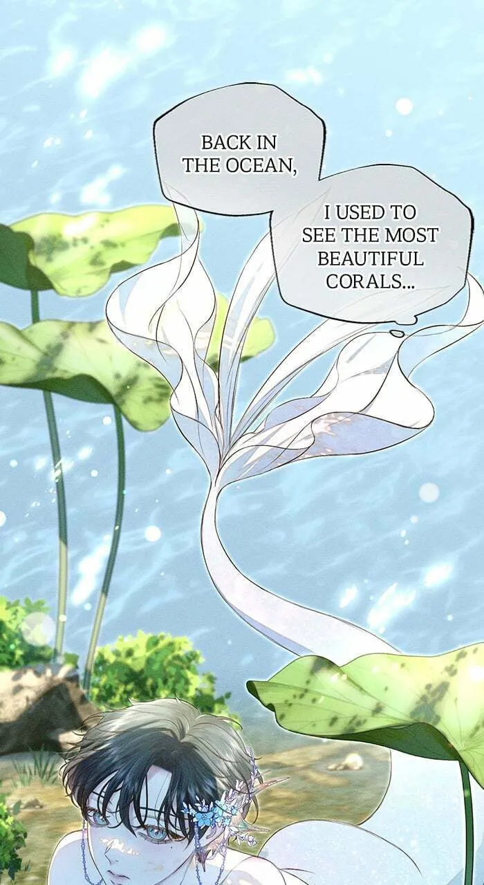 The Merman Trapped in My Lake Chapter 27 page 34 - 