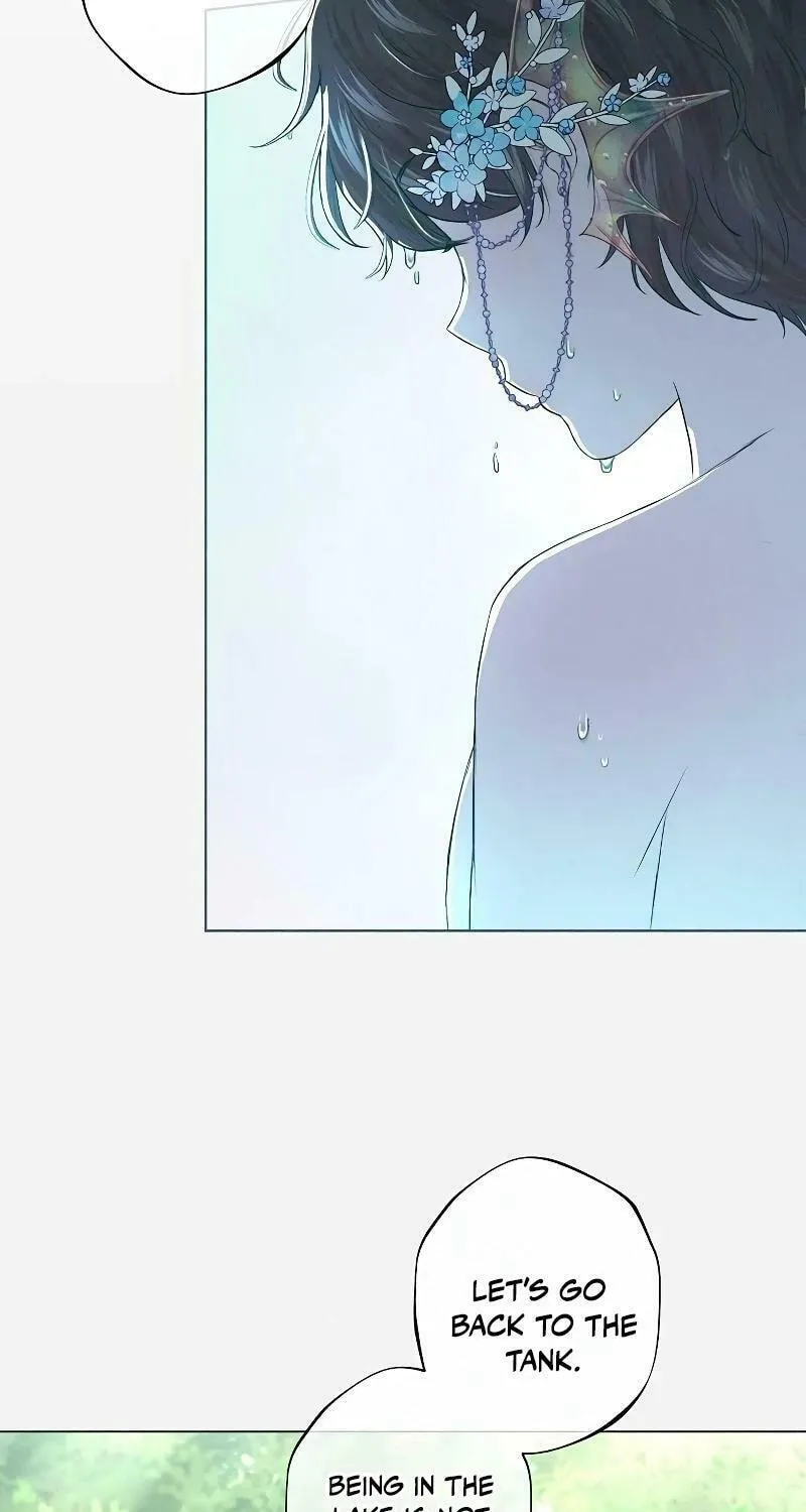 The Merman Trapped in My Lake Chapter 3 page 56 - 