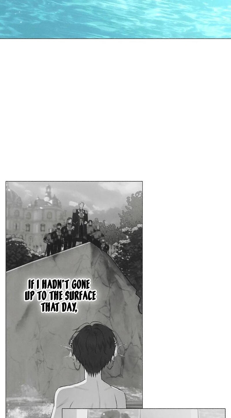 The Merman Trapped in My Lake Chapter 36 page 68 - 