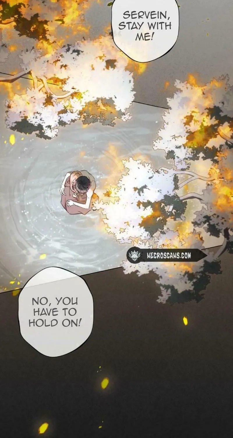 The Merman Trapped in My Lake Chapter 6 page 65 - 