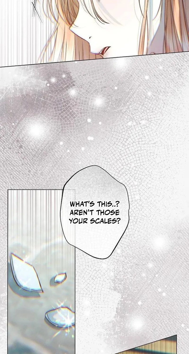 The Merman Trapped in My Lake Chapter 8 page 16 - 
