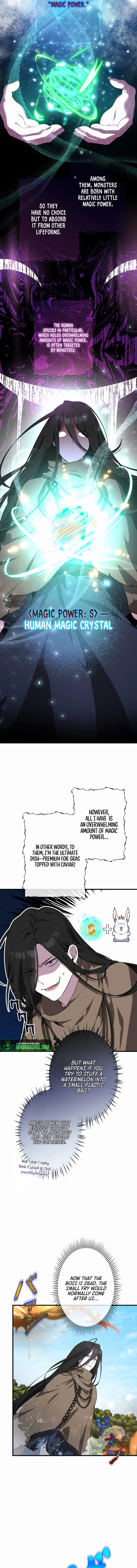 The Mighty Teacher Is a Roleplayer Chapter 5 page 5 - 