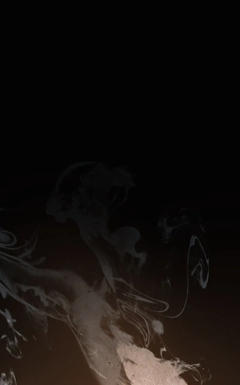 The Monkey King’s Journey to the Murim Chapter 1 page 1 - 