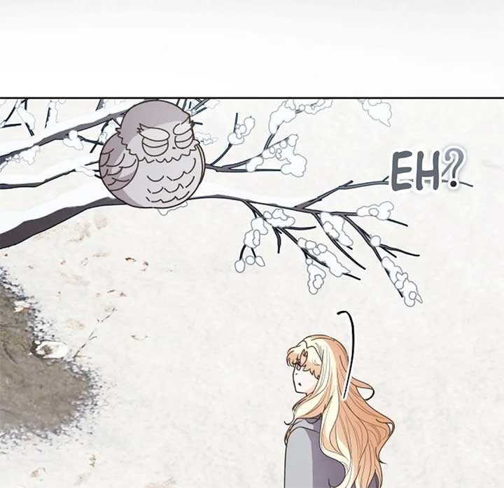 The Monster Duke Mistook Me for His Wife Chapter 11 page 96 - 
