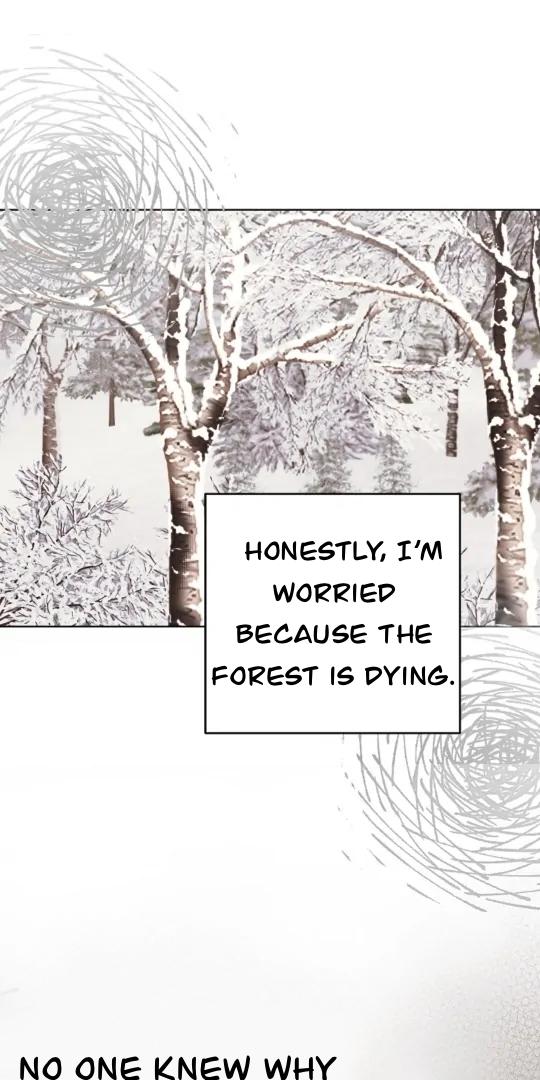 The Monster Duke Mistook Me for His Wife Chapter 12 page 8 - 