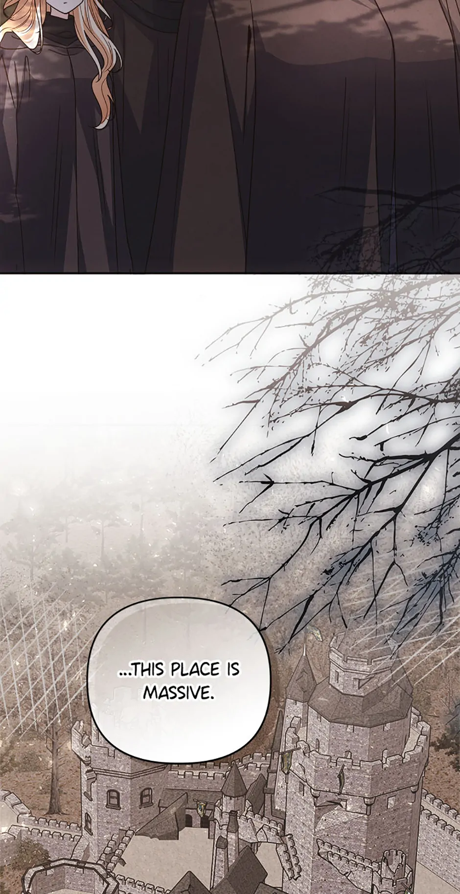 The Monster Duke Mistook Me for His Wife Chapter 29 page 9 - 