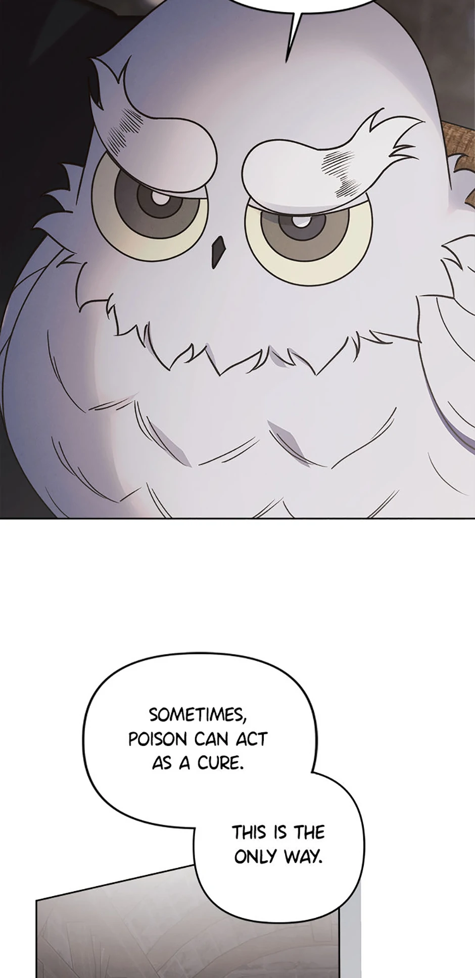 The Monster Duke Mistook Me for His Wife Chapter 32 page 24 - 