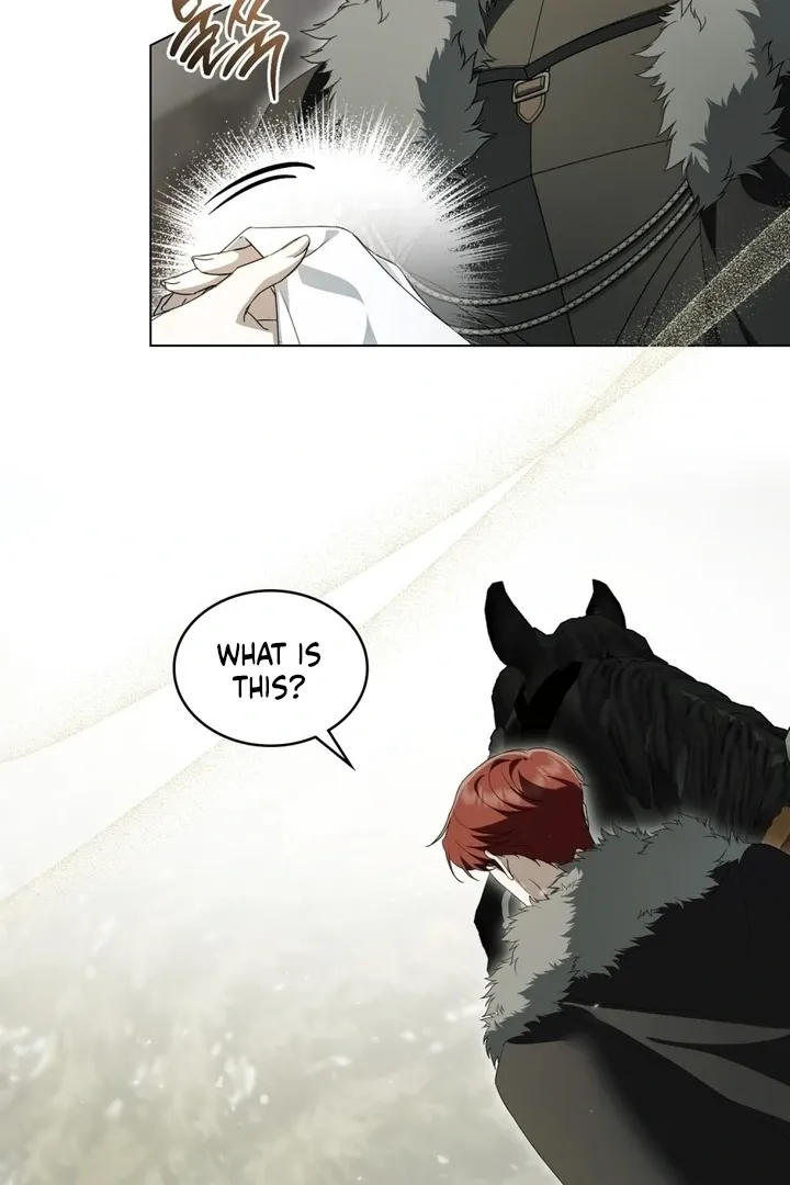 The Monster Lady and the Paladin Chapter 48 page 47 - 
