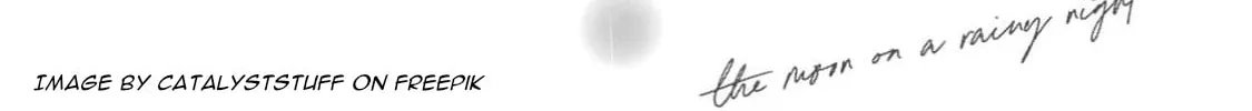 The Moon on a Rainy Night Chapter 25 page 86 - 