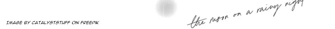 The Moon on a Rainy Night Chapter 40 page 68 - 