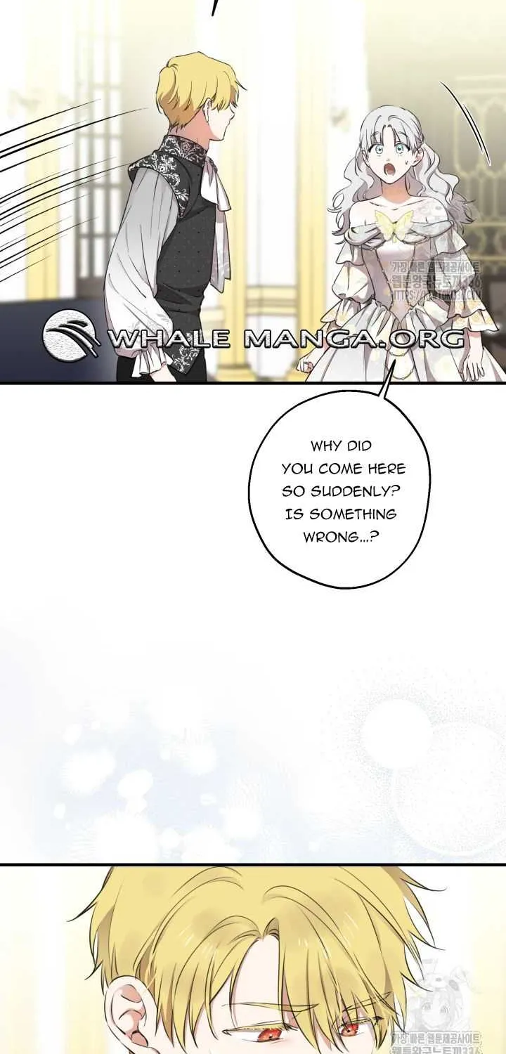 The most poweful characters in the world are crazy about me Chapter 114 page 41 - 