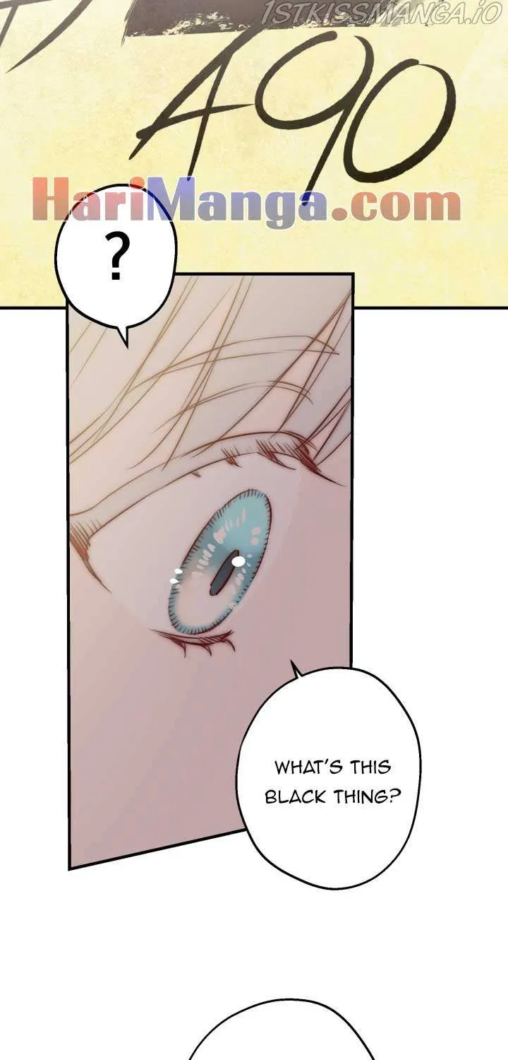 The most poweful characters in the world are crazy about me Chapter 45 page 47 - 