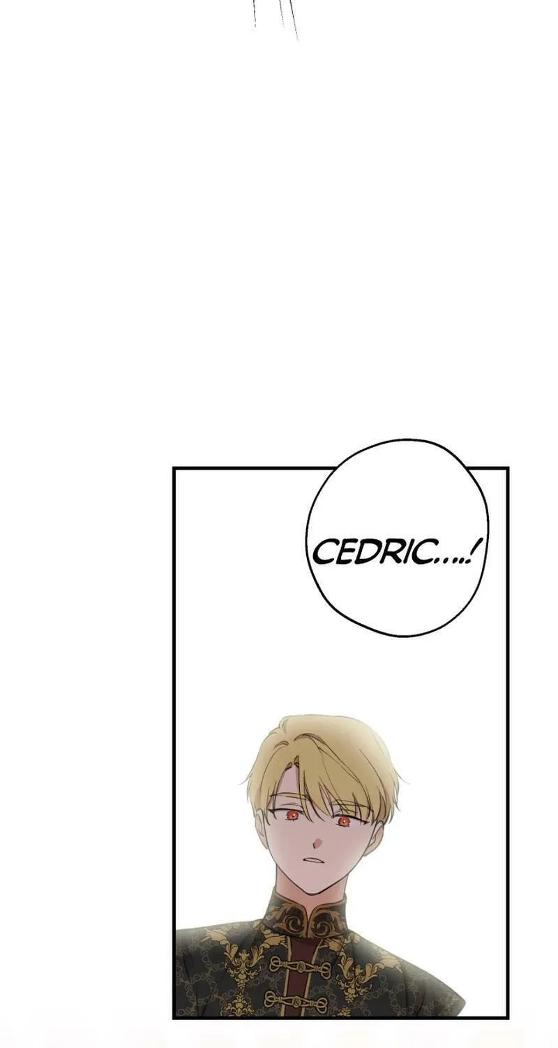The Most Powerful Characters in the World Are Obsessed with Me Chapter 106 page 63 - 
