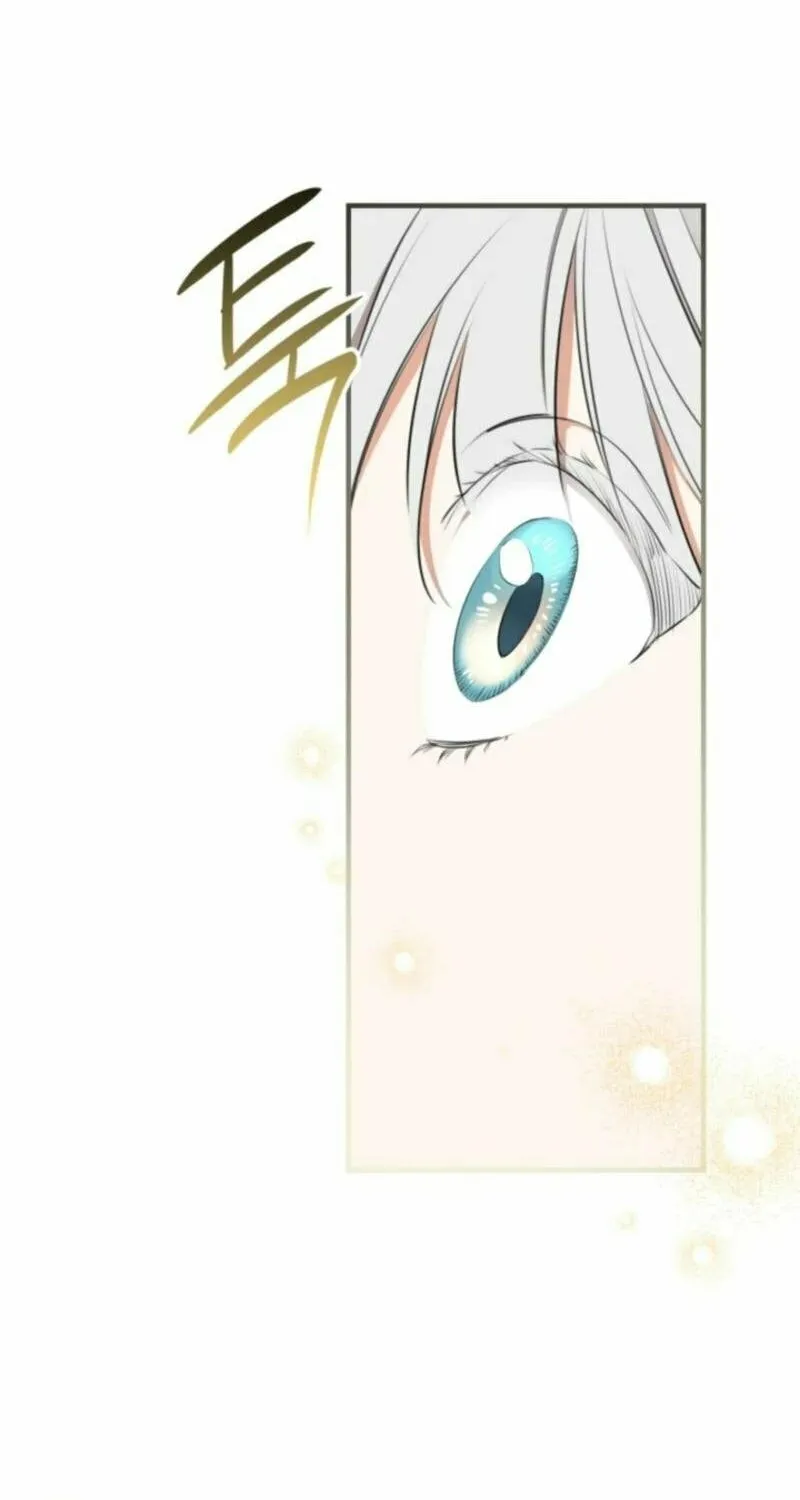 The Most Powerful Characters in the World Are Obsessed with Me Chapter 107 page 62 - 