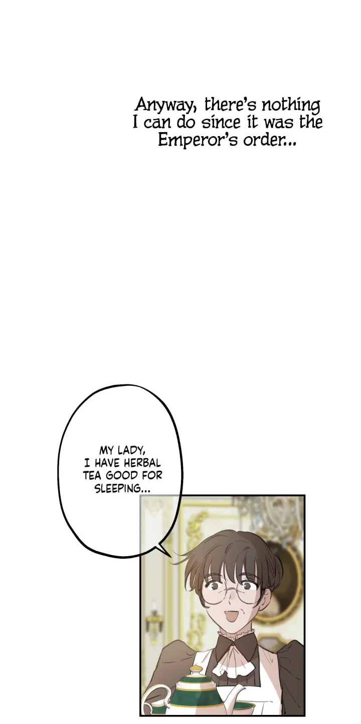 The Most Powerful Characters in the World Are Obsessed with Me Chapter 12 page 6 - 