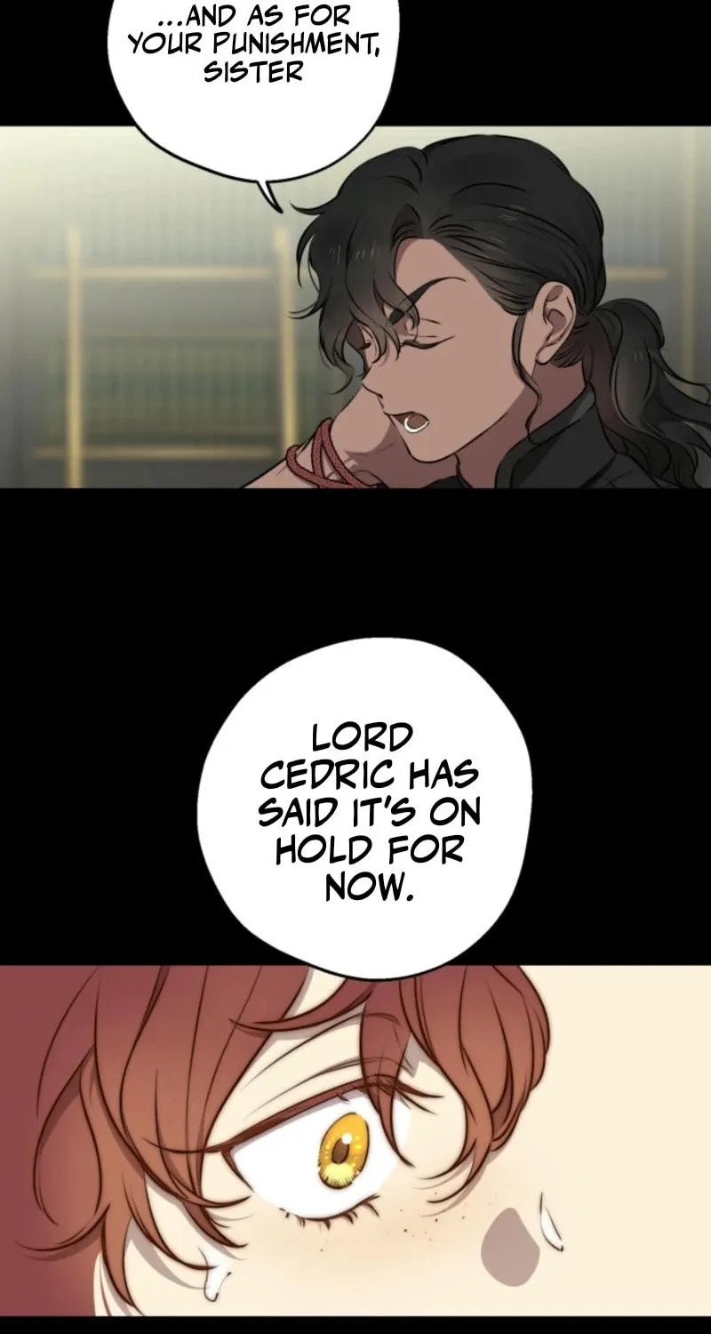 The Most Powerful Characters in the World Are Obsessed with Me Chapter 122 page 25 - 