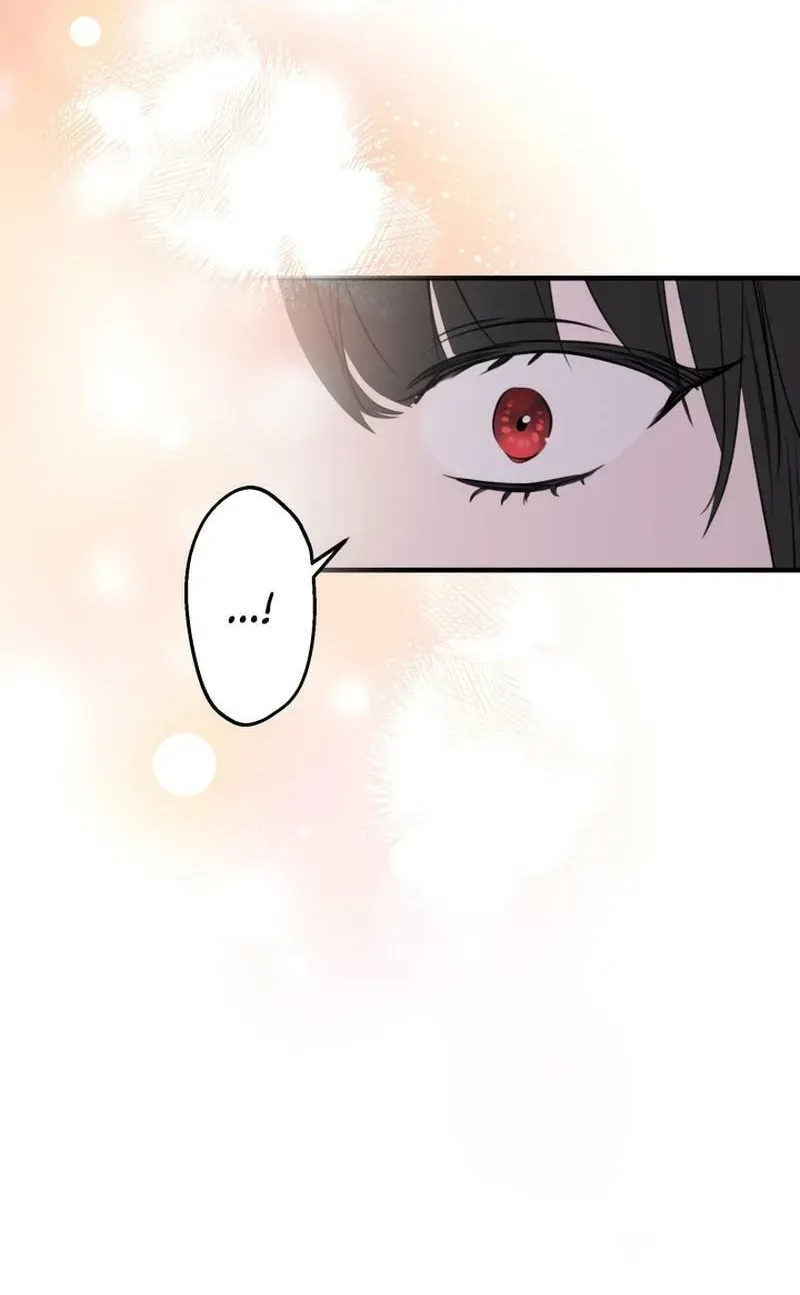 The Most Powerful Characters in the World Are Obsessed with Me Chapter 49.1 page 97 - 