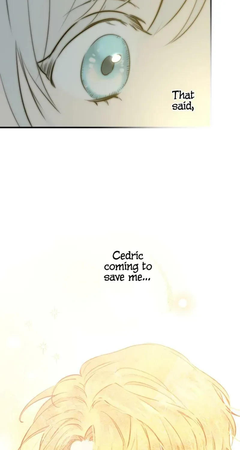 The Most Powerful Characters in the World Are Obsessed with Me Chapter 50.2 page 19 - 