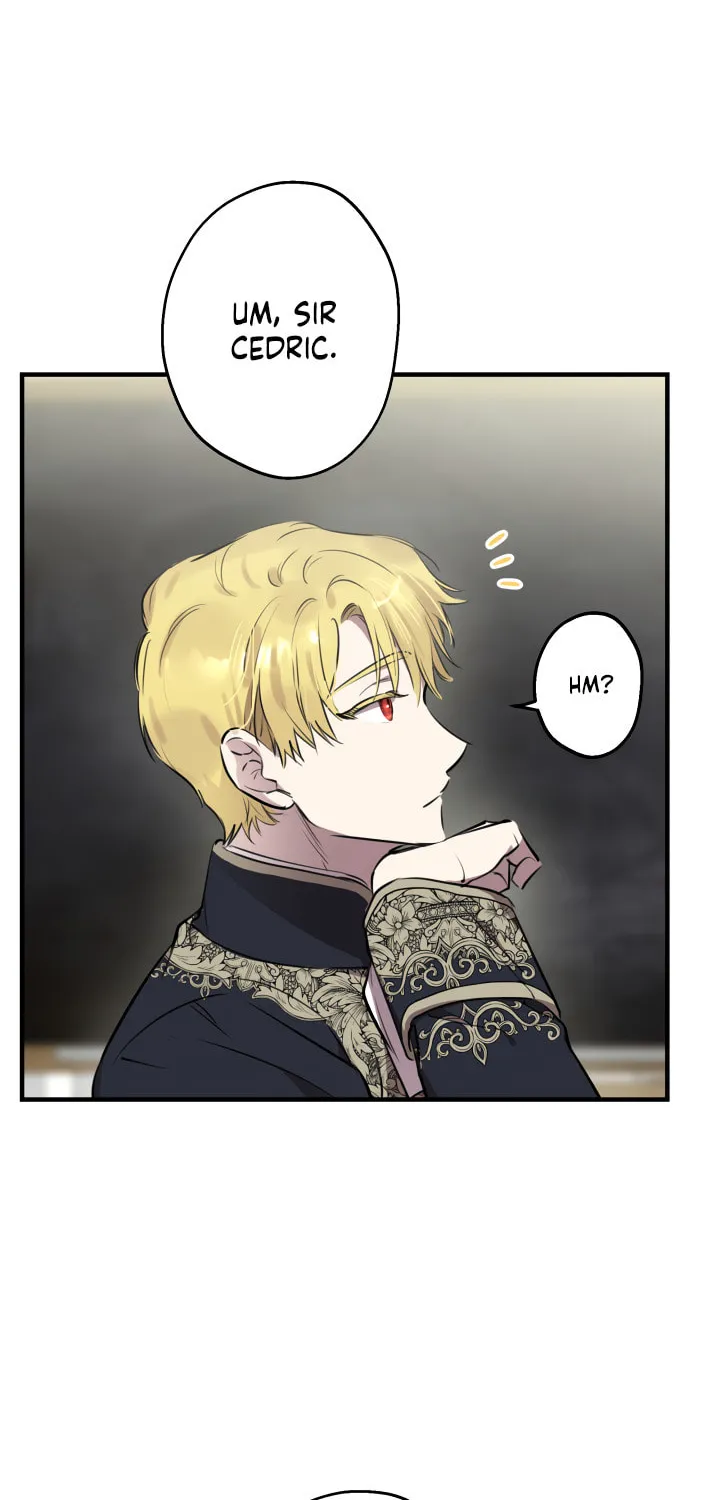 The Most Powerful Characters in the World Are Obsessed with Me Chapter 55 page 15 - 