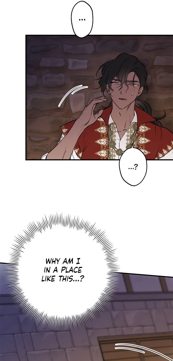 The Most Powerful Characters in the World Are Obsessed with Me Chapter 68 page 65 - 