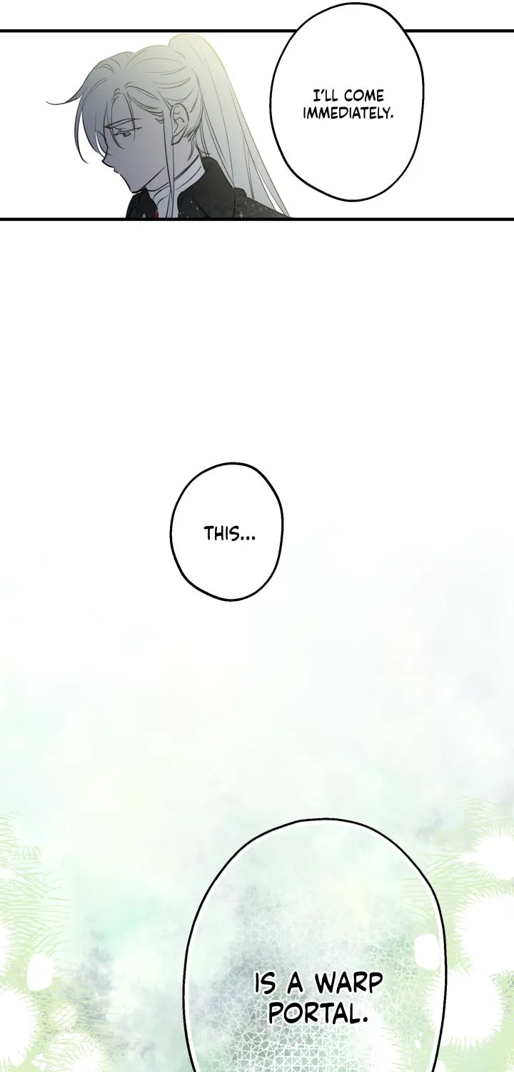 The Most Powerful Characters in the World Are Obsessed with Me Chapter 70 page 8 - 