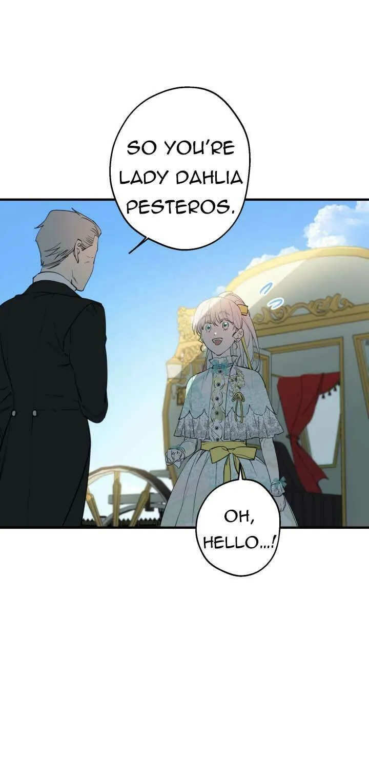 The Most Powerful Characters in the World Are Obsessed with Me Chapter 99 page 47 - 