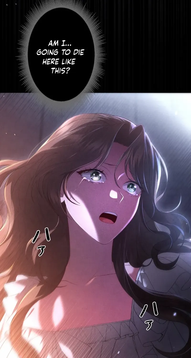 The Murderer is Targeting the Young Lady with Brown Hair Chapter 1 page 25 - 