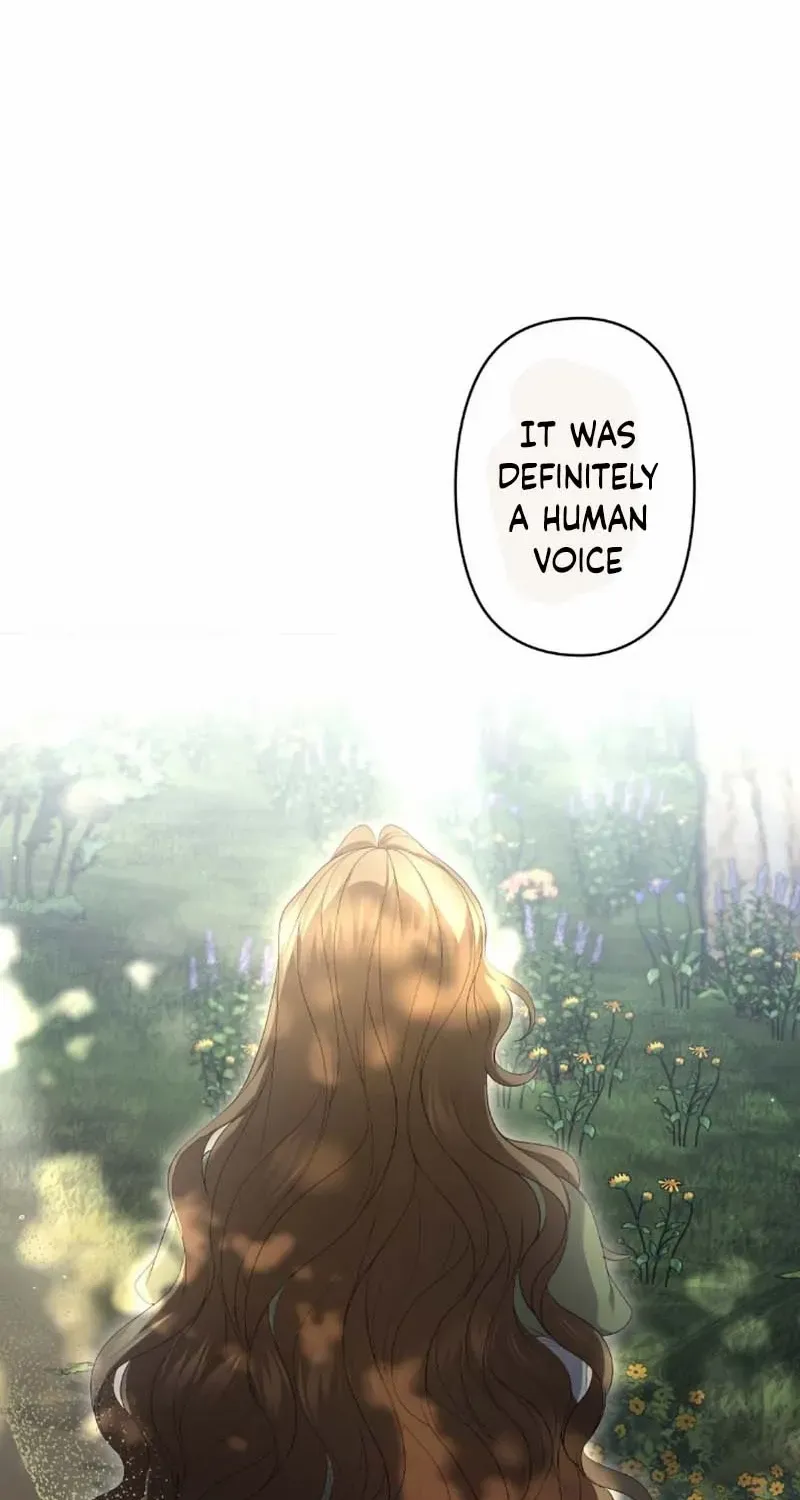 The Murderer is Targeting the Young Lady with Brown Hair Chapter 3 page 62 - 