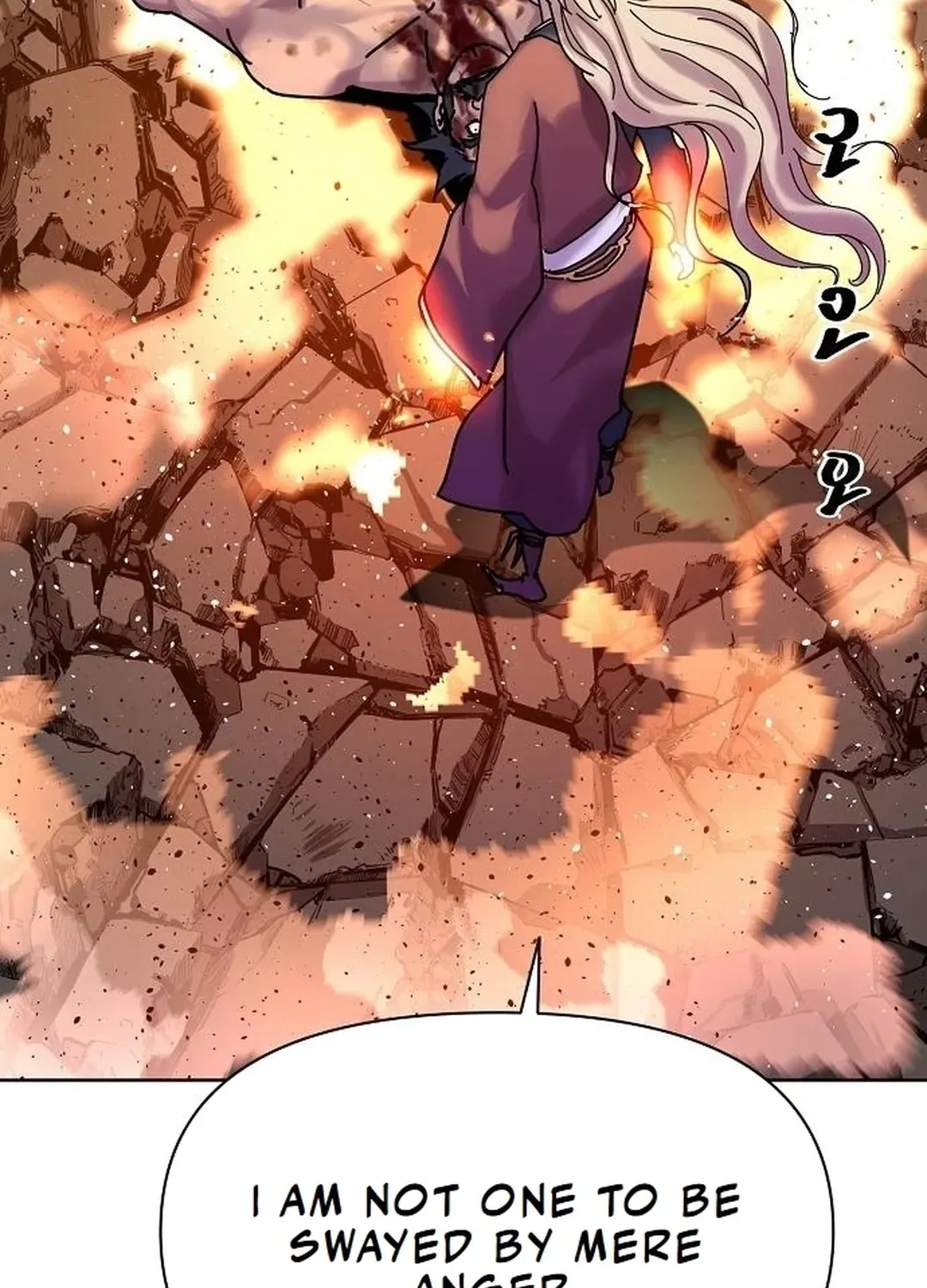 The Namgung Clan’s Great Sage Chapter 15 page 155 - 