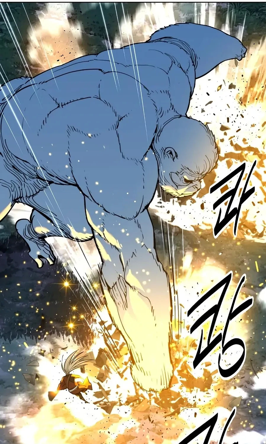 The Namgung Clan’s Great Sage Chapter 51 page 66 - 