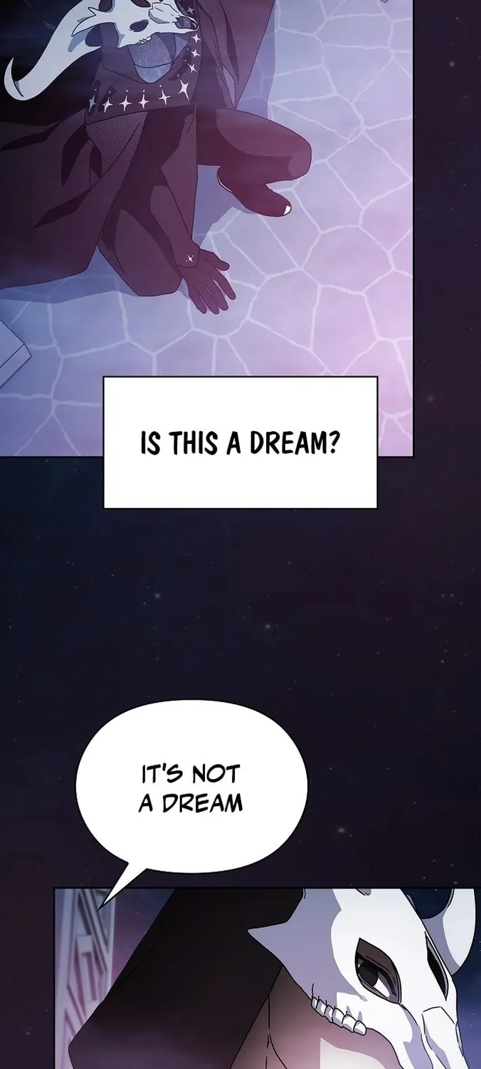 The Nebula