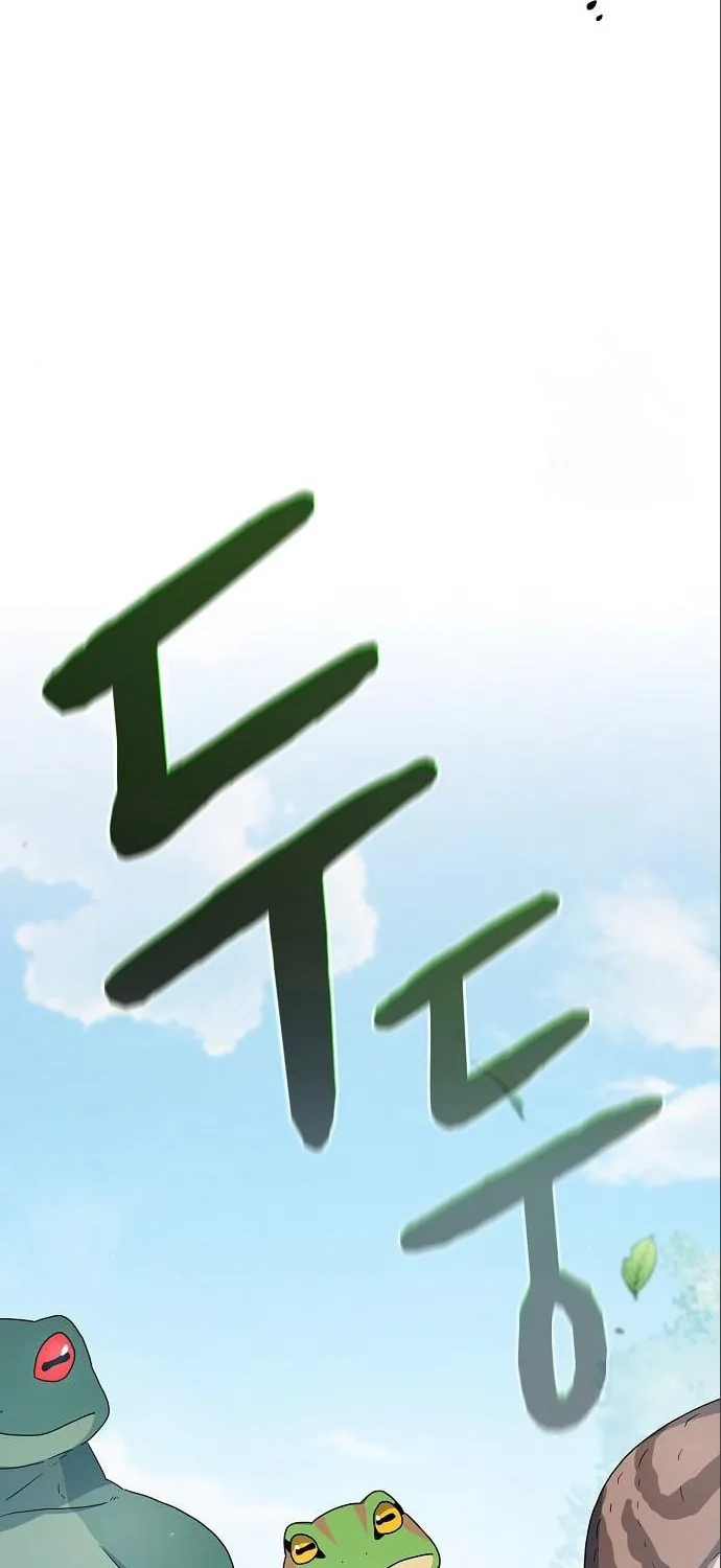 The Nebula