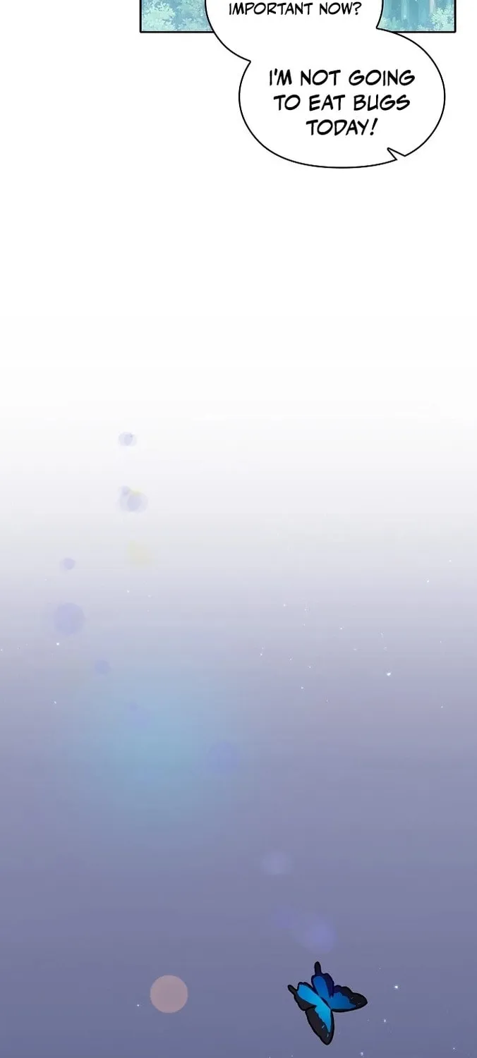 The Nebula
