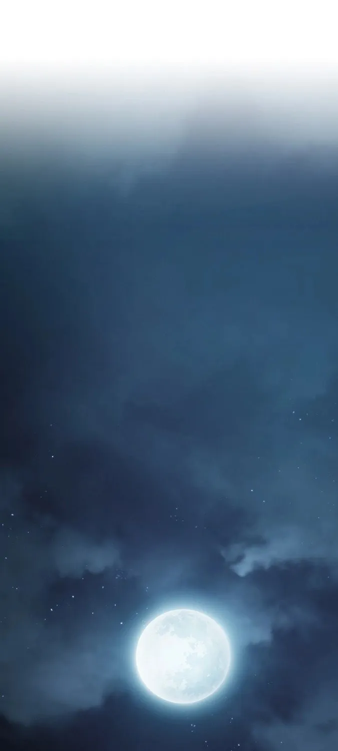 The Nebula