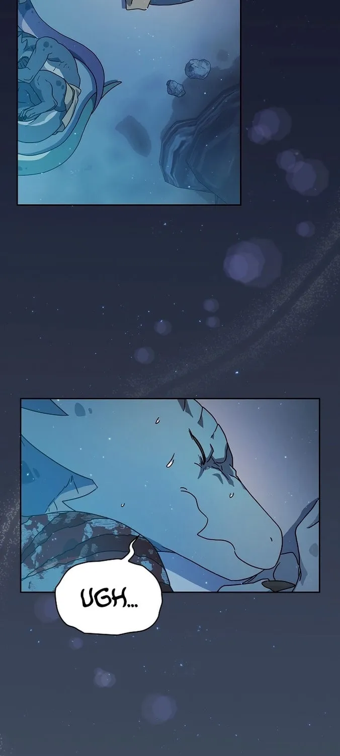 The Nebula