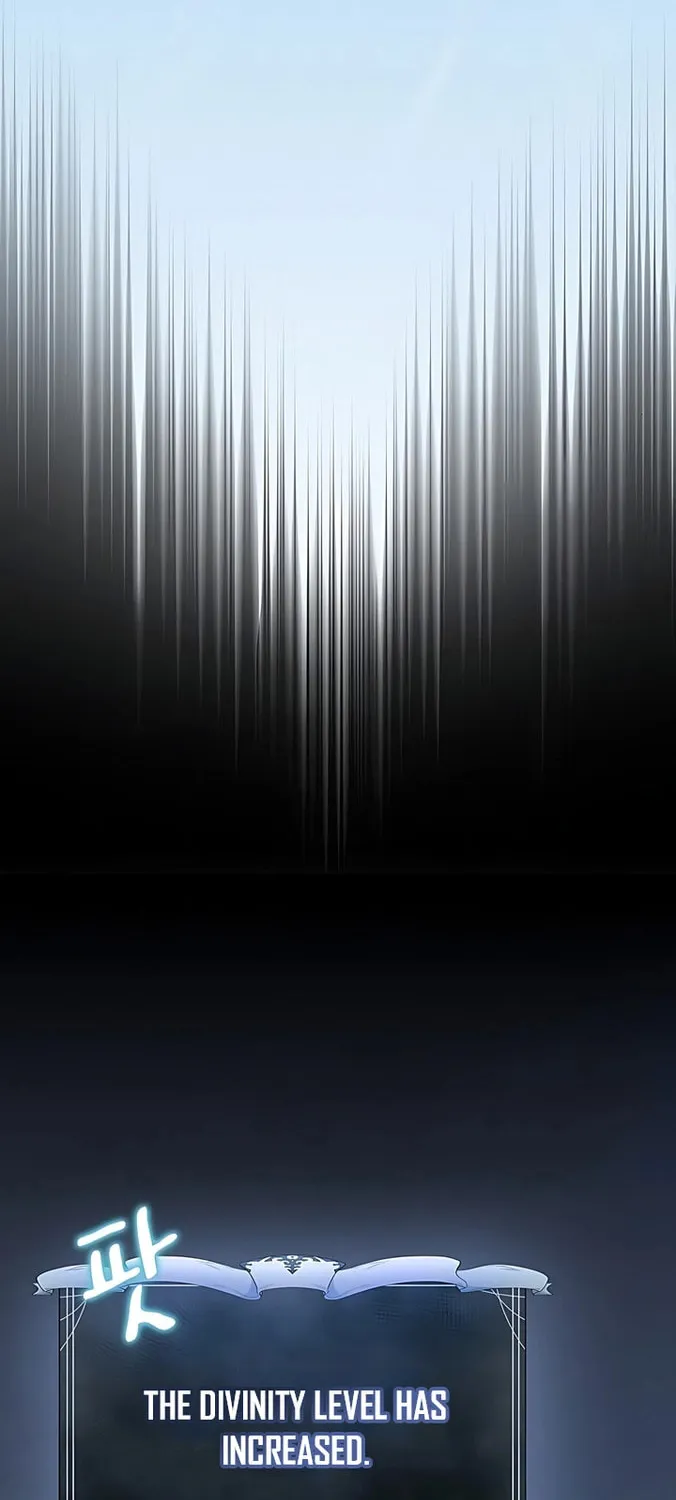 The Nebula